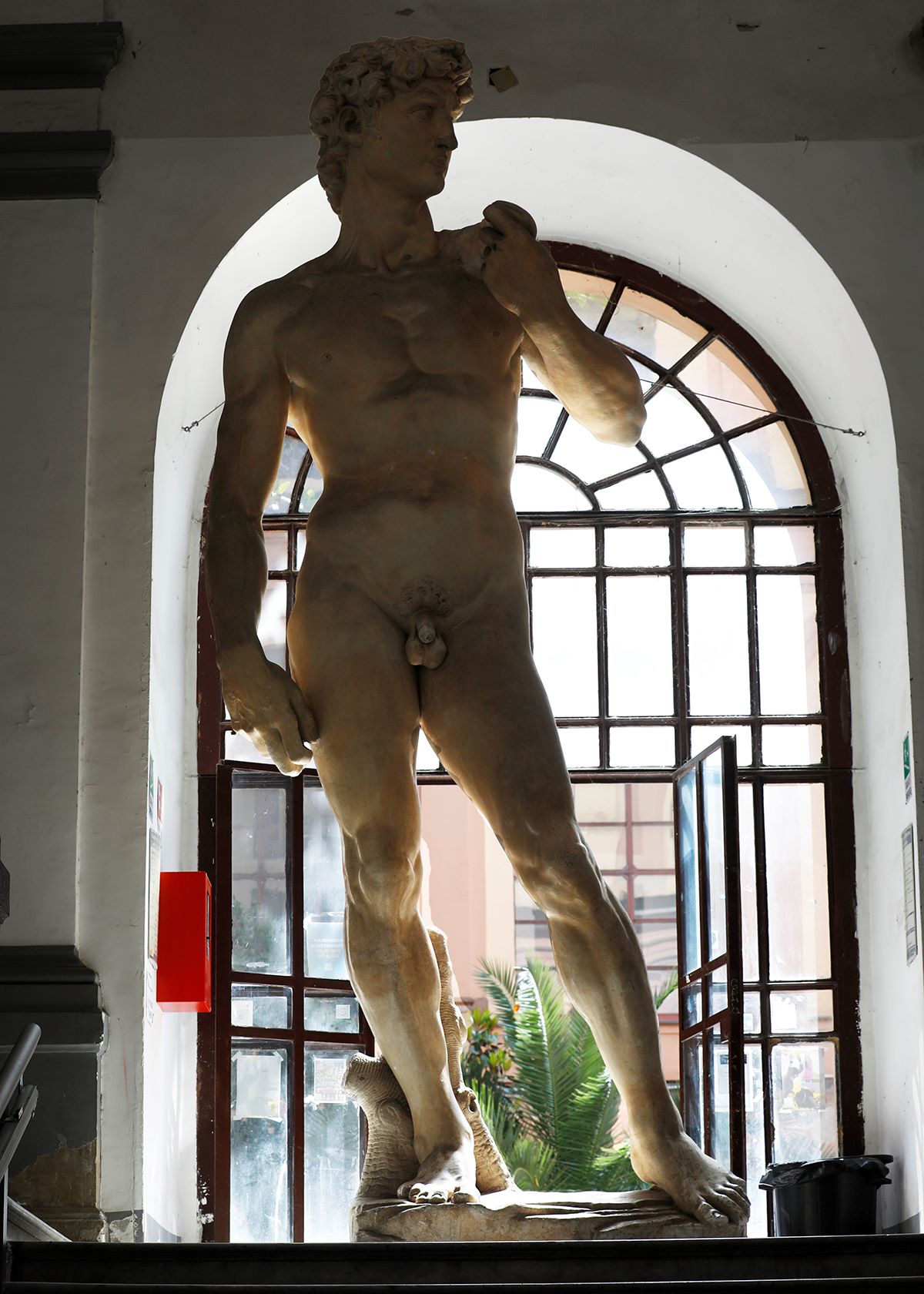 ミケランジェロのダヴィデ像